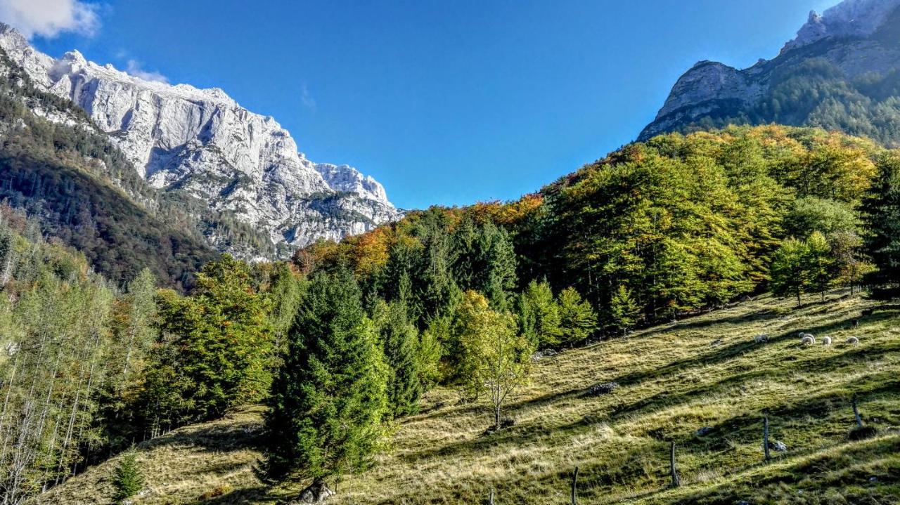 Cottages Kravanja Трента Екстер'єр фото