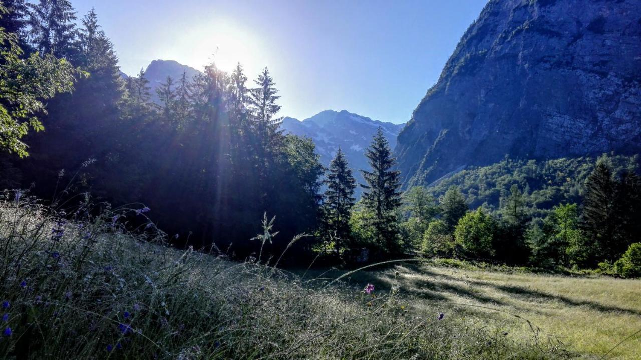 Cottages Kravanja Трента Екстер'єр фото