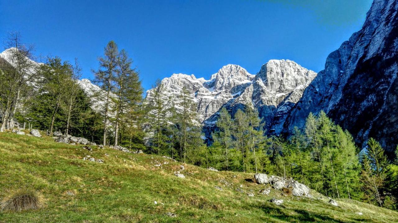Cottages Kravanja Трента Екстер'єр фото