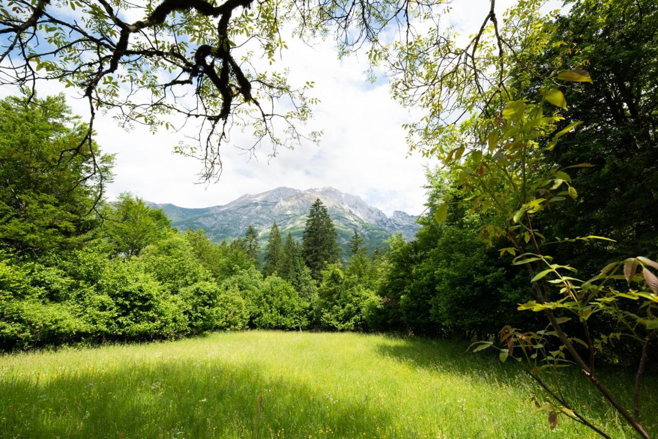 Cottages Kravanja Трента Екстер'єр фото