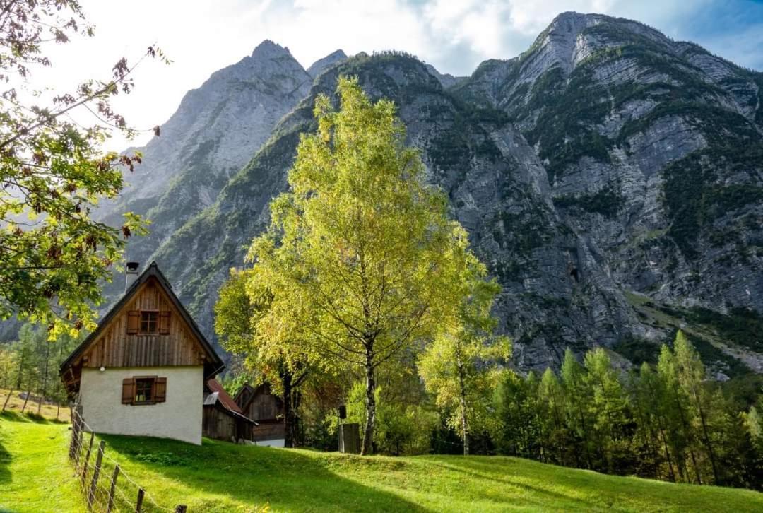 Cottages Kravanja Трента Екстер'єр фото